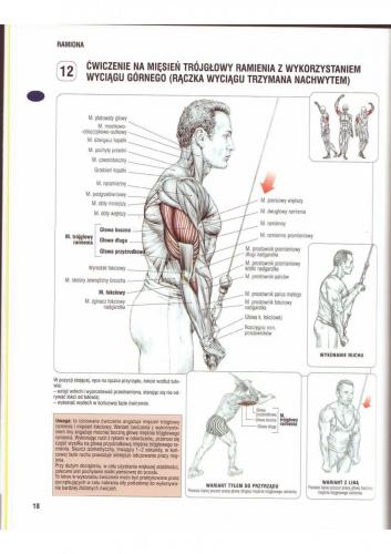 Ćwiczenie wzmacniające triceps nr.1